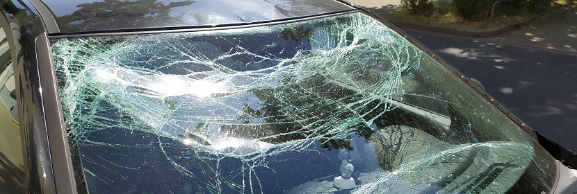 國內(nèi)抗原檢測試劑盒，哪家比較靠譜呢 ?實驗筆記丨病毒感染細(xì)胞實驗的步驟詳解（上卷）