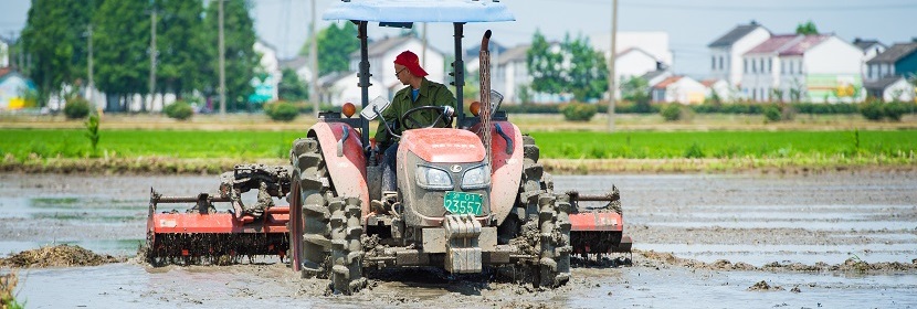 農用醇醚柴油檢測