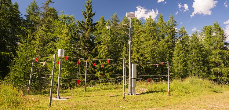 防干擾性試驗(yàn)