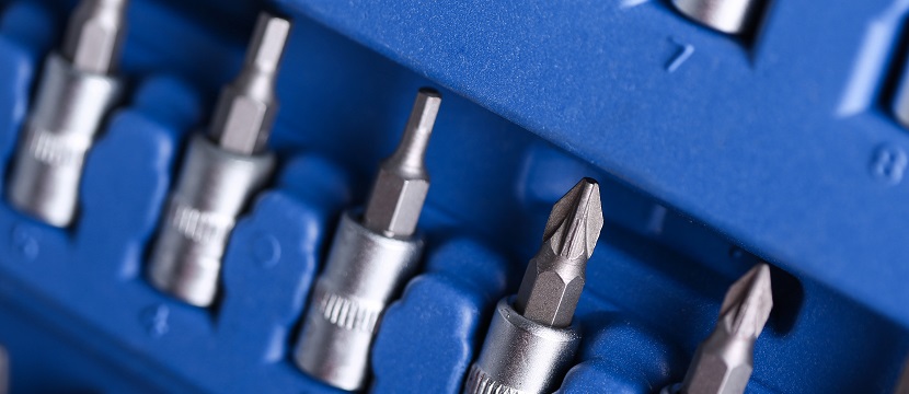 Nipsnap1基因敲除肺結核小鼠模型