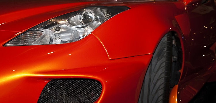 慢性粒細胞白血病轉基因斑馬魚模型