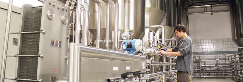 玉米赤霉烯酮檢測(cè)