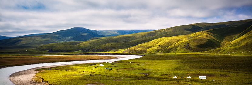 微生物檢測(cè)