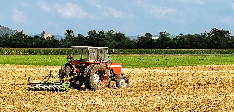 酰基肉堿檢測(cè)