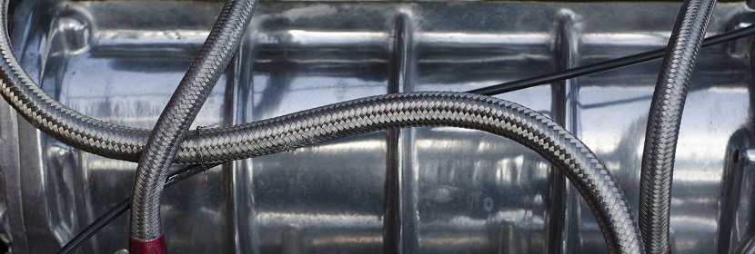 端粒酶檢測(cè)