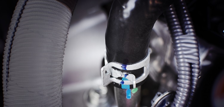 蛋白質(zhì)熒光檢測(cè)