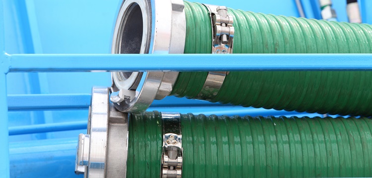 抑郁癥c57小鼠慢性社會挫敗應(yīng)激模型