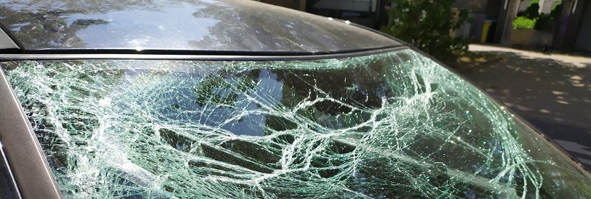 鏈脲霉素誘導糖尿病腎病大鼠模型